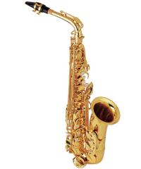 Alto Saxophone YWAS-01