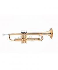 Trumpet YWTR-01
