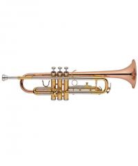 Trumpet YWTR-03