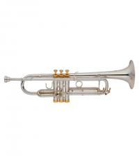 Trumpet YWTR-06