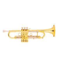 Trumpet YWTR-08