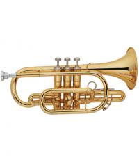 Cornet YWCR-100