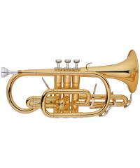 Cornet YWCR-120