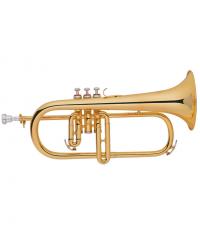 Flugel Horn YWFLG-278