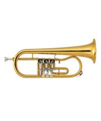 Flugel Horn YWFLG-08
