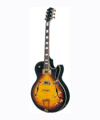 Electric Guitar YWGSB-35