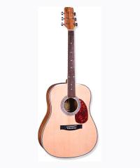 Acoustic Guitar YWAG-7041
