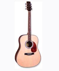 Acoustic Guitar YWAG-9041