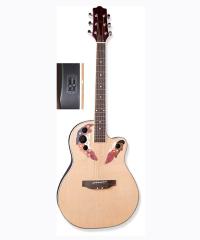 Acoustic Guitar YWNG-40CE