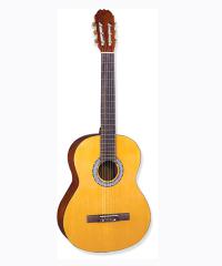 Classical Guitar YWCG-40