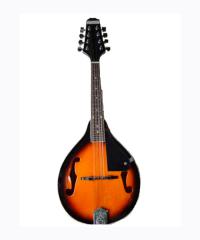 Mandolin YWM-02