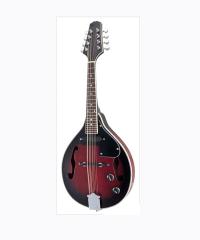 Mandolin YW-M30T1