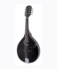 Mandolin YWM-20