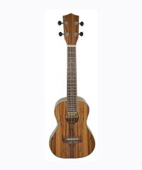 Ukulele YWU-E153