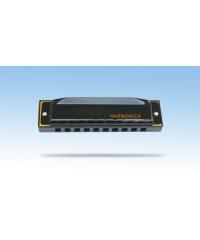 10 hole YWHM1020-3