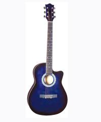 Acoustic Guitar YWPG-02