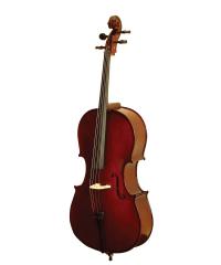 Popular Cello YWC-03