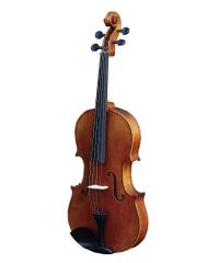 High Grade Viola YWVA-41