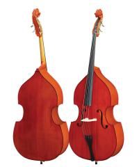Solid Bass YWB-21