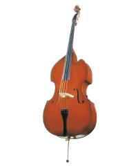 Cutaway Bass YWB-2C