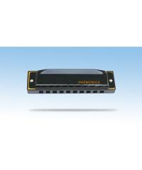 10 hole YWHM1020-3
