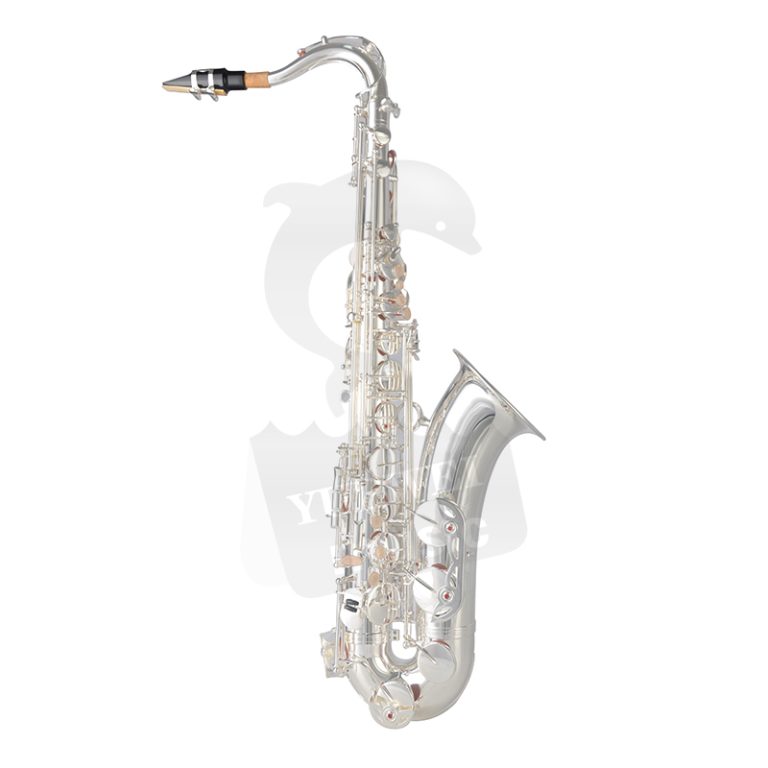 A1